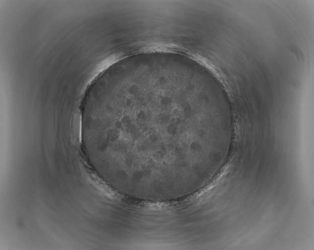 X0000110871219200907021429