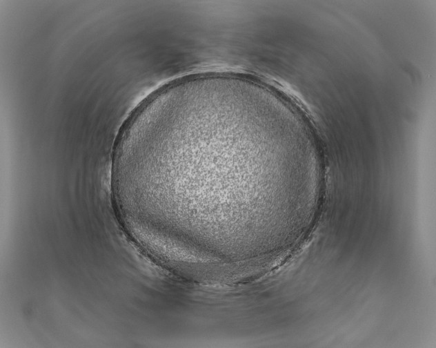 X0000110871220200907021429