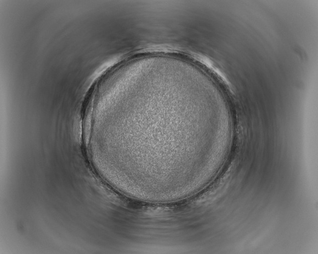 X0000110871221200907021429