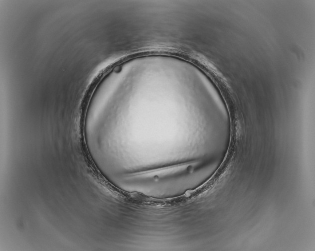 X0000110871222200907021429