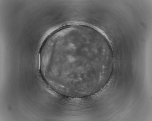 X0000110871223200907021429