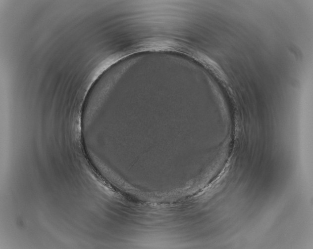 X0000110871226200907021429