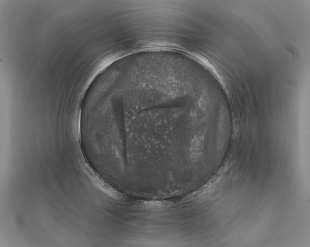 X0000110871227200907021429