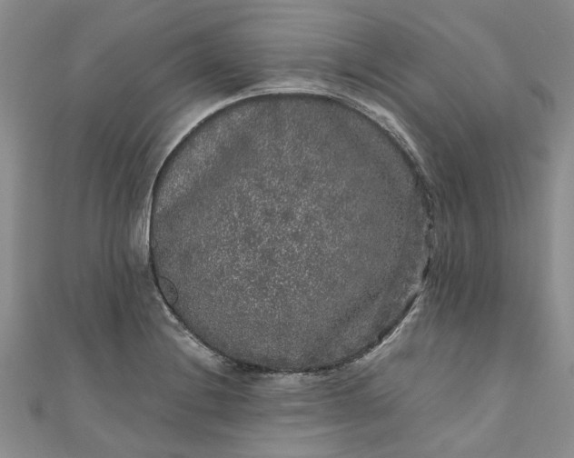 X0000110871228200907021429