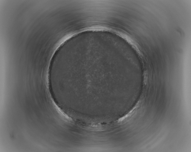 X0000110871229200907021429