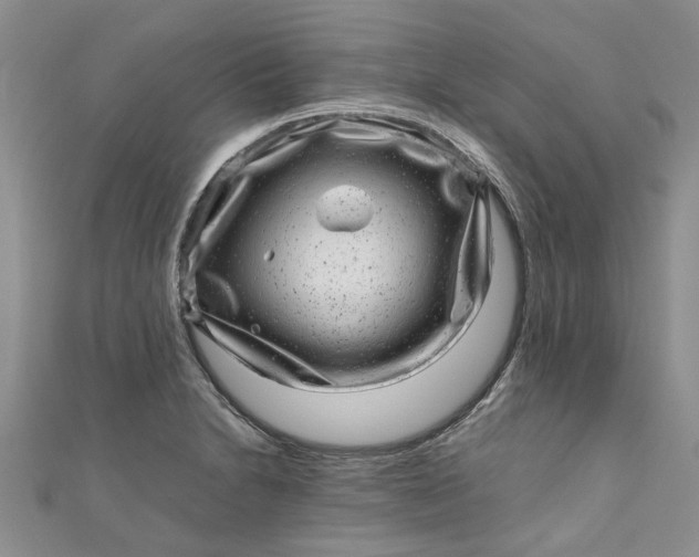 X0000110871230200907021429