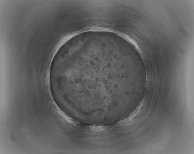 X0000110871231200907021430