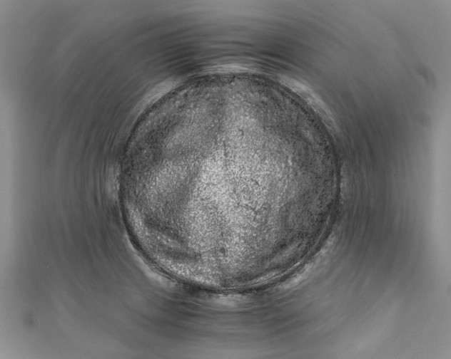 X0000110871233200907021430