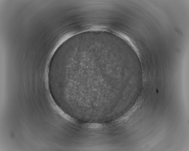 X0000110871235200907021430