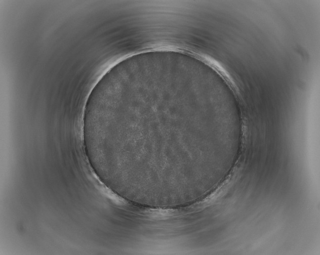 X0000110871236200907021430