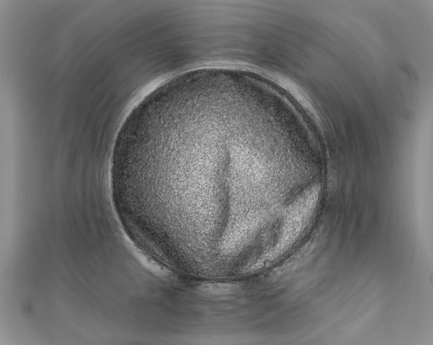 X0000110871237200907021430