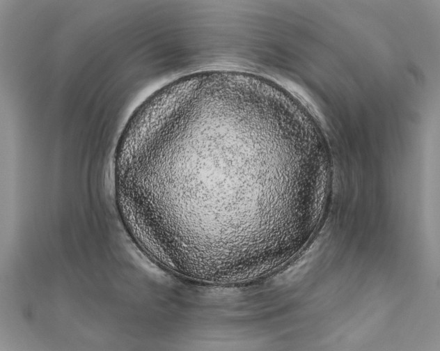 X0000110871238200907021430