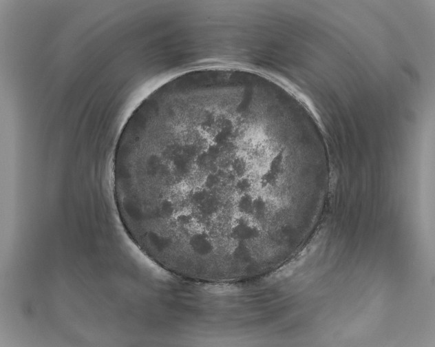 X0000110871239200907021430