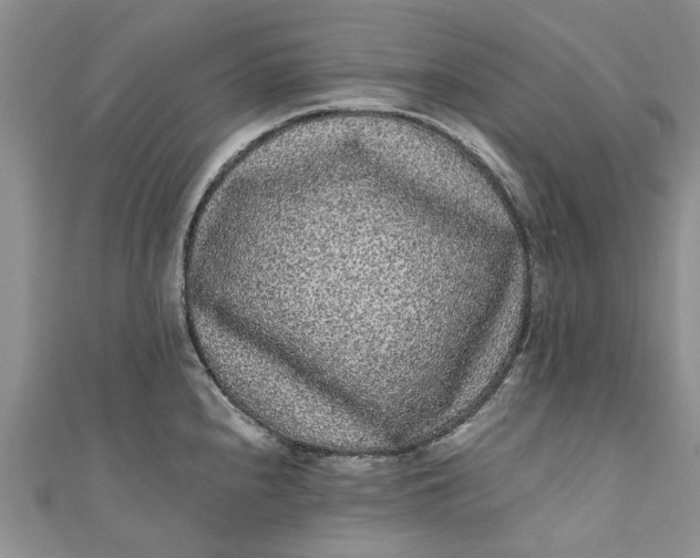 X0000110871240200907021430