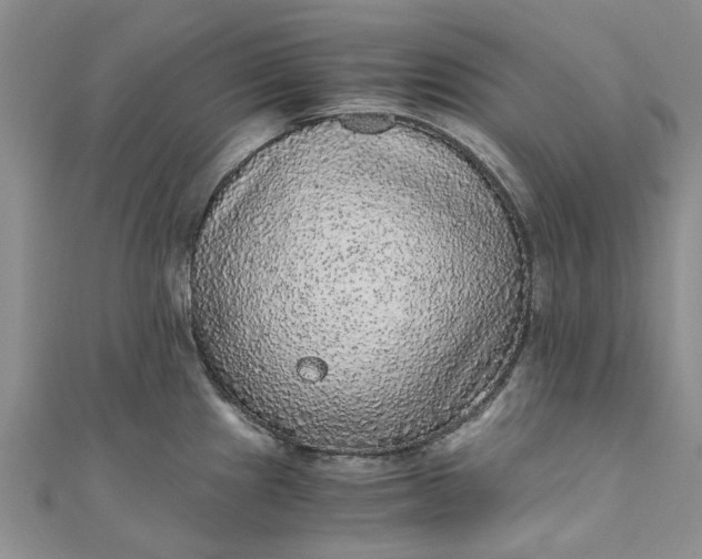 X0000110871241200907021430