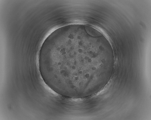 X0000110871243200907021430