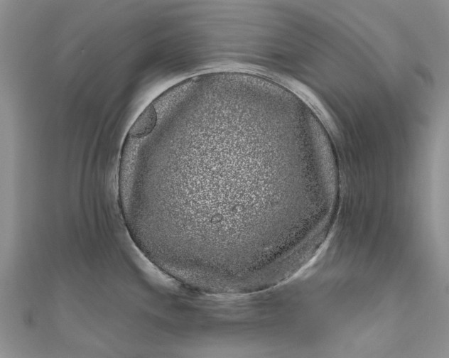 X0000110871244200907021430