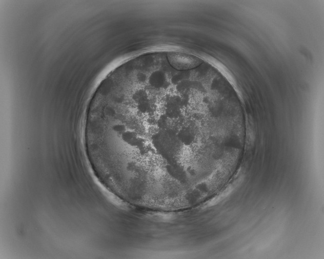 X0000110871245200907021430