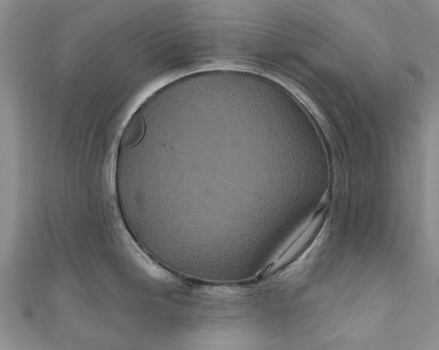 X0000110871246200907021430