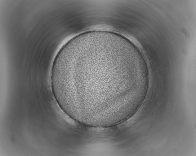 X0000110871248200907021430