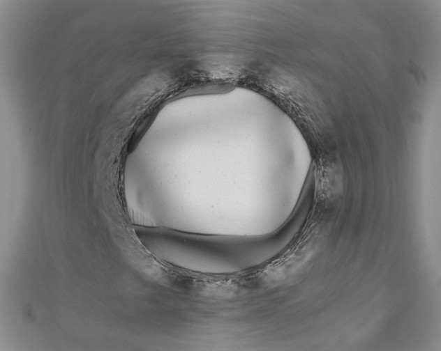 X0000110871249200907021429