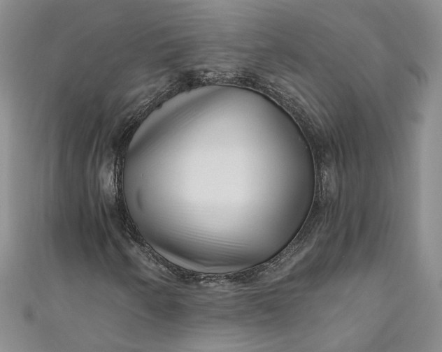 X0000110871250200907021429