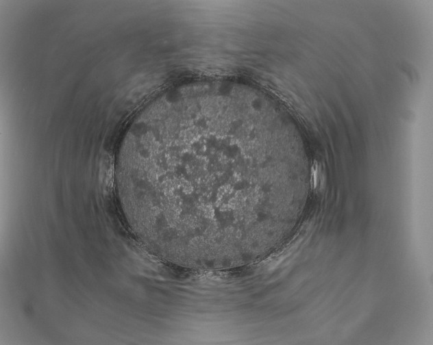 X0000110871251200907021429