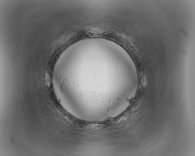 X0000110871253200907021429