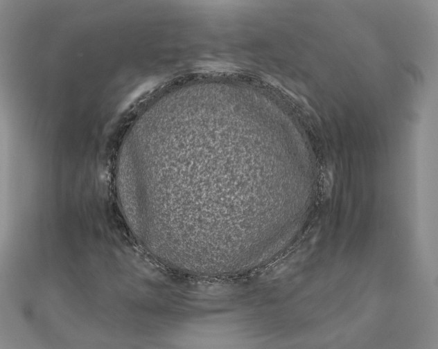 X0000110871254200907021429