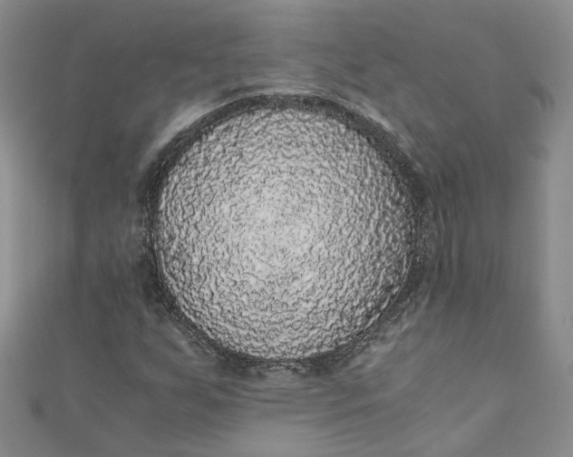 X0000110871255200907021429