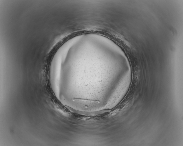 X0000110871256200907021429