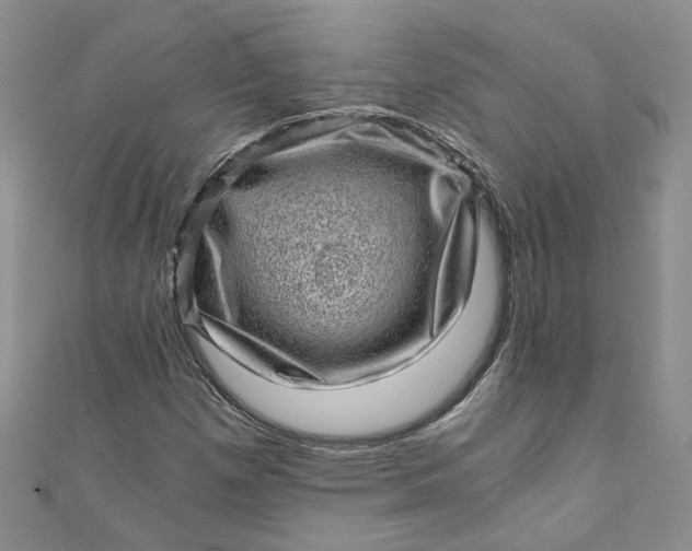 X0000110871257200907021429