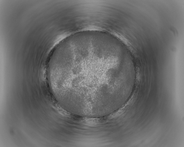 X0000110871258200907021429