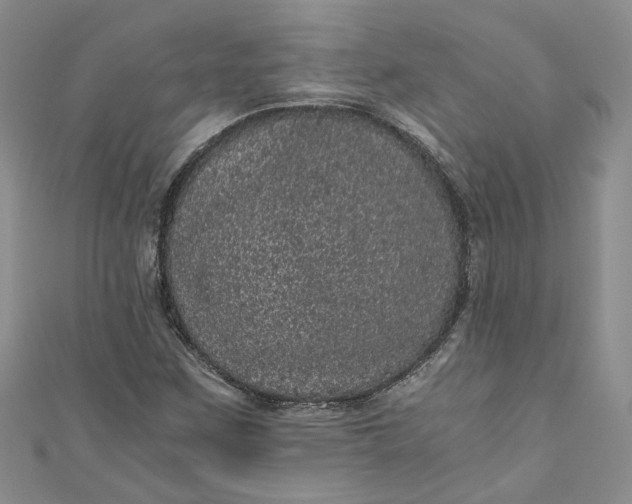 X0000110871259200907021429