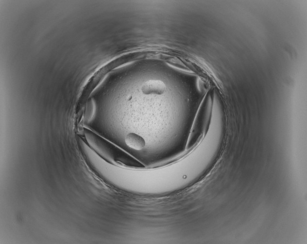 X0000110871260200907021429