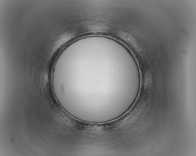 X0000110871261200907021429