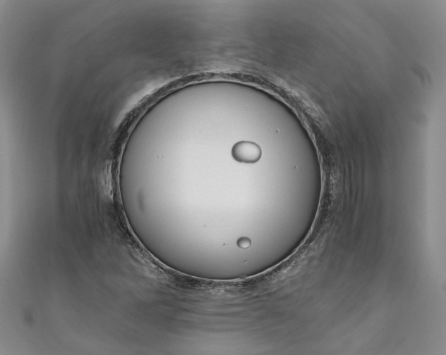 X0000110871262200907021429