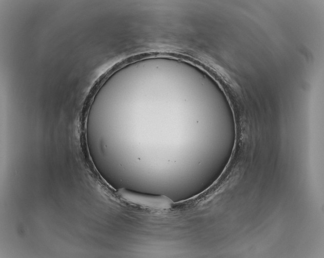 X0000110871264200907021429