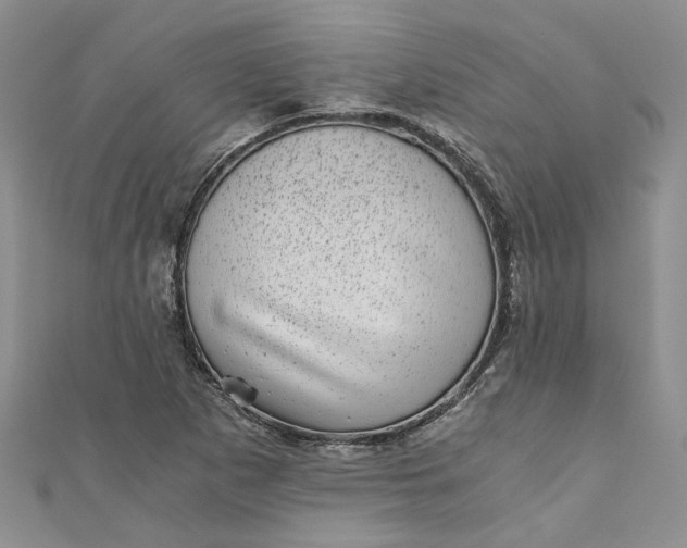 X0000110871265200907021429