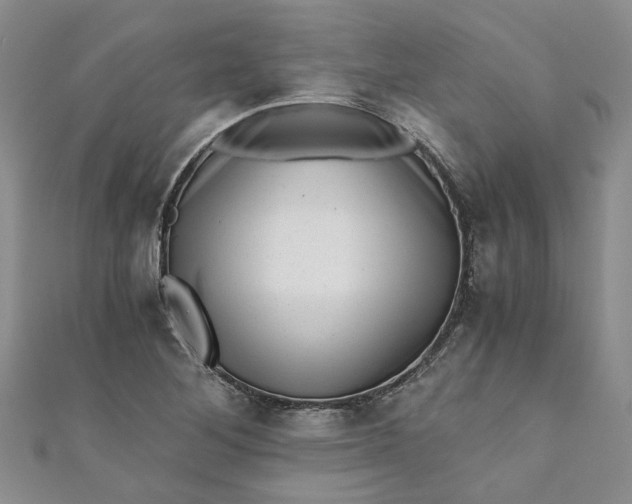 X0000110871268200907021429