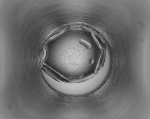 X0000110871273200907021429