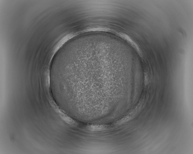 X0000110871274200907021429