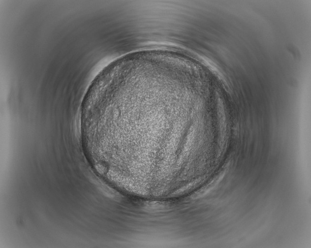 X0000110871275200907021429