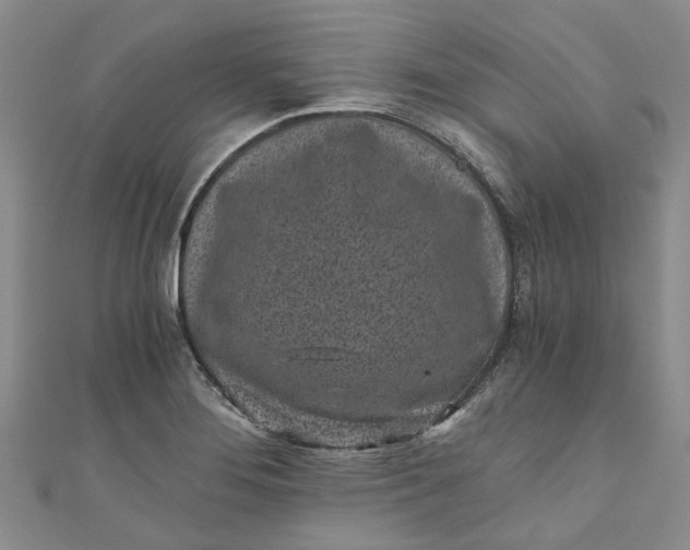 X0000110871276200907021429