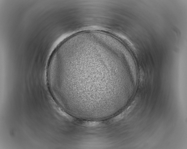 X0000110871278200907021429