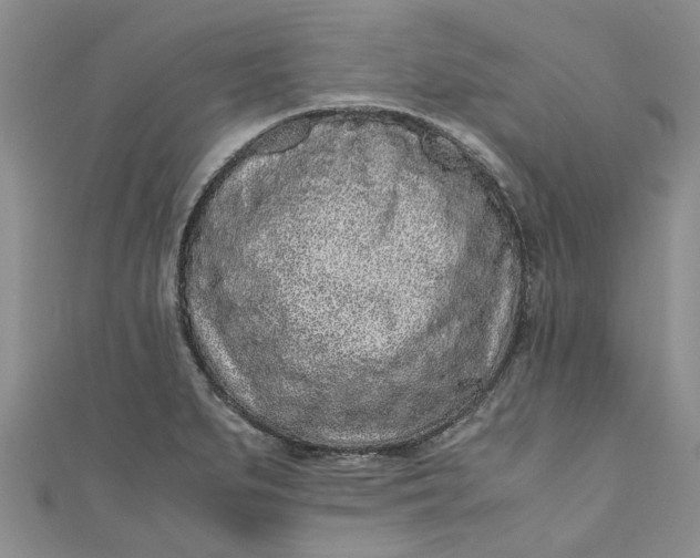 X0000110871279200907021429