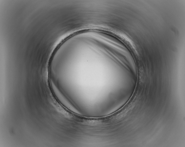 X0000110871280200907021429