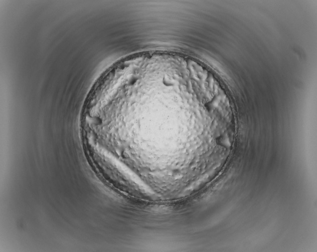 X0000110871283200907021429