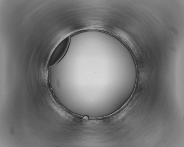 X0000110871284200907021428