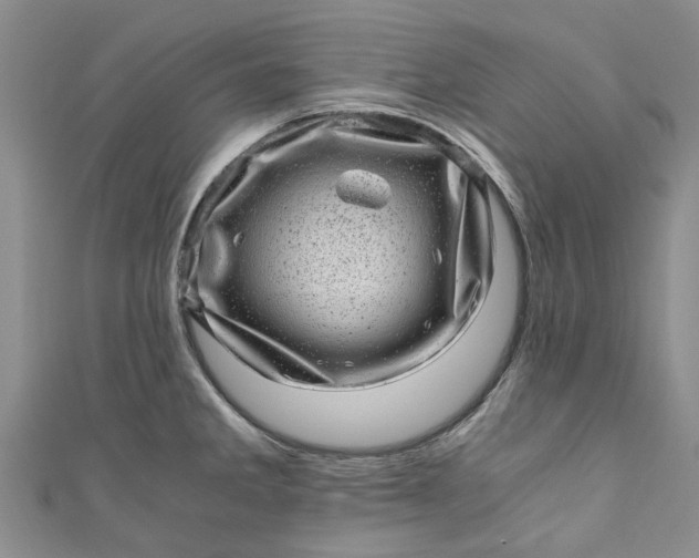 X0000110871285200907021428